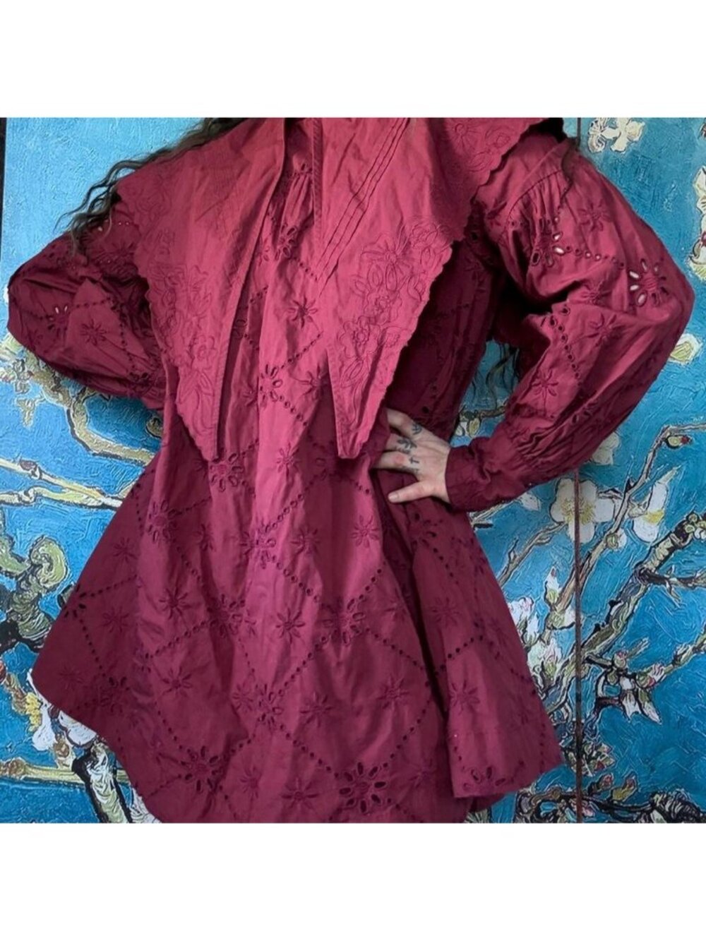 Damson Madder Burgundy Cotton Eyelet Dress nwt - Picture 4 of 8